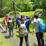 5月１１日(日)　JRハイキング　（新緑の山に仏教文化の史跡を訪ねる）　 樹齢１０００年の逆杉を訪ねるトレッキング